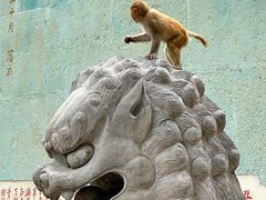 -黔灵山公园