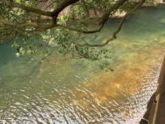 -鼎湖山风景区