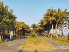 -深圳湾公园(南山区)