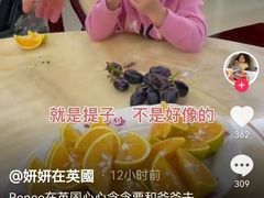 -约翰·菲茨杰拉德·肯尼迪国际机场