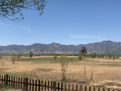 -野鸭湖国家湿地公园