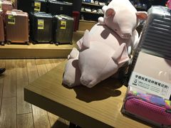 -九木杂物社(恒隆广场店)