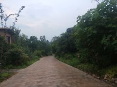 -杭州开元森泊度假乐园