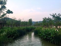 -谜秀韩式半永久纹眉纹绣洗眉