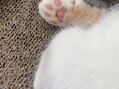 -脊元康推拿整脊养生馆