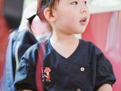 -BUS TOUR观光巴士