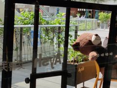 -艾薯夫妇Aysh(福田星河COCOPark店)