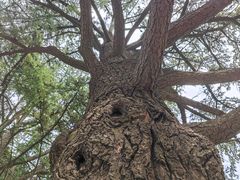 -大连植物园