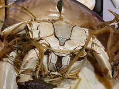-一绪に寿喜烧自助(世茂广场店)