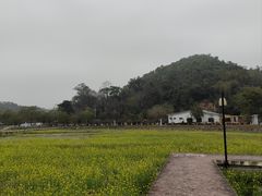-红山村