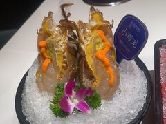 -海月轩海鲜豆捞(紫金塔店)