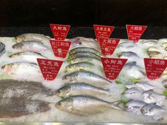 -宝燕壹号(徐汇店)