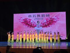 -小芳舞蹈团·少儿舞蹈·中国舞(龙江校区)