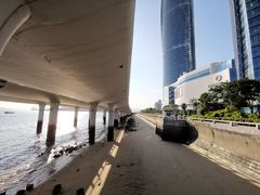 -演武大桥观景平台