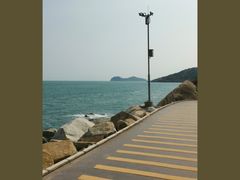 -广东惠东海龟国家级自然保护区