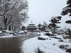 -中国唐苑