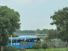 -蟹天蟹地农家菜·阳澄湖大闸蟹(浅水湾店)