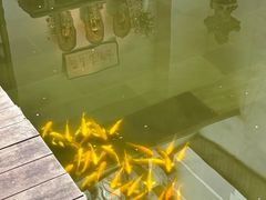 -觀芷隐轩