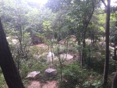 -崂山巨峰游览区