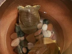 -望湘园·洞庭渔宴(永旺店)