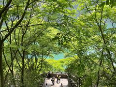 -三峡人家风景区