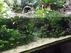 河川生态园-河川生态园