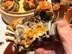 -杨氏青龙虾·吃蟹季(金盛路总店)