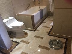 -圣爵菲斯大酒店(长沙世界之窗店)