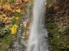 -莫里热带雨林景区