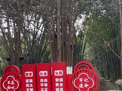 -望江楼公园