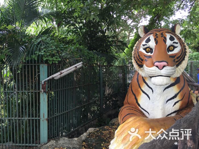 律实动物园图片