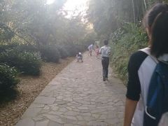 android_upload_pic-旺山景区