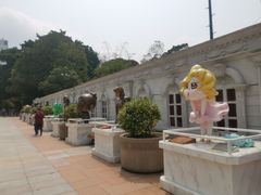 -九龙公园