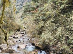 -西岭雪山大飞水景区