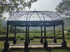 -悦禧耕岛酒店·指月坞餐厅·旺山特色农家乐