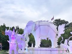 -清迈夜间动物园