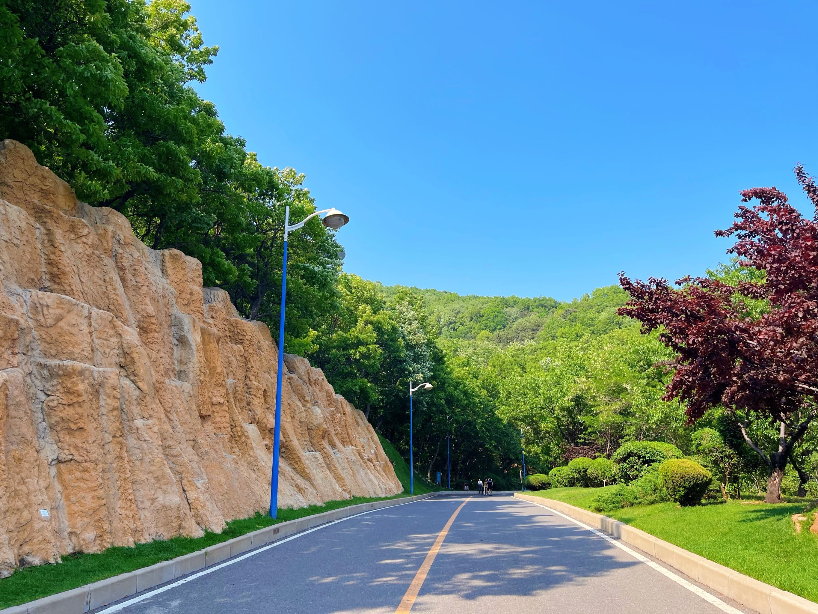 大连免费遛娃好去处