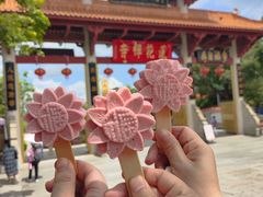 -广州莲花山旅游区