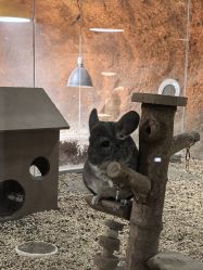 -酷嗒动物文化乐园(cutezoo西溪乐天城店)