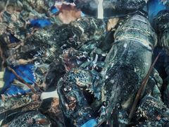 -盒马鲜生(曜一城店)