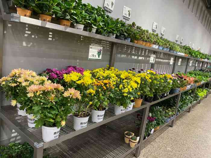 鹿岛(会员)店(荟聚中心店)-"鹿岛这个品牌在武汉很多大型商业体都有