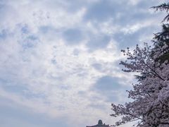 -武汉大学-樱园