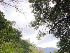 -萍乡武功山风景名胜区