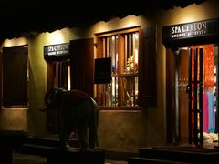 -Ministry of Crab(科伦坡店)