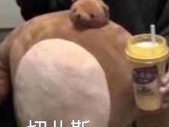 -高丽苑韩国烤肉(海昌路旗舰店)