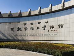 -中国西峡恐龙遗迹园
