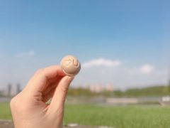 -尚贤河湿地