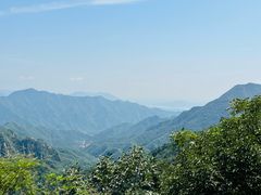 -大岭沟猕猴桃谷风景区