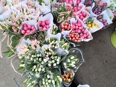 -循礼门鲜花花市(武汉循礼门店)