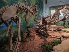 -自贡恐龙博物馆